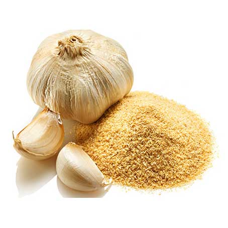 HELA Garlic Powder 1kg